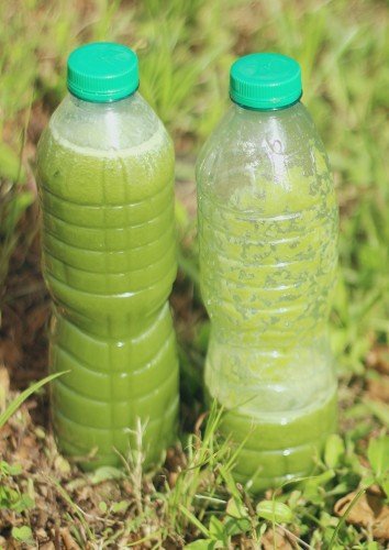 ugwu juice,weight loss nigeria,jucing ,smoothies (3)